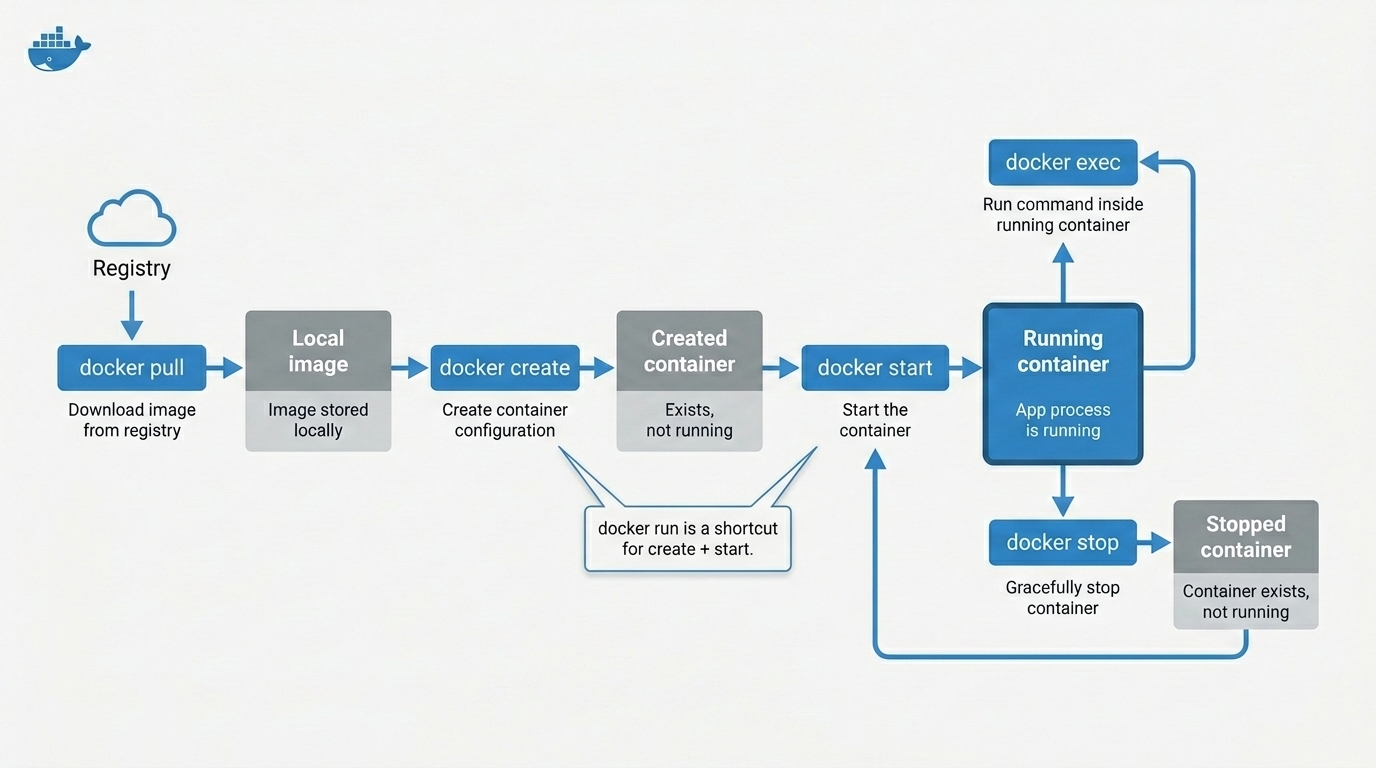 Docker container lifecycle